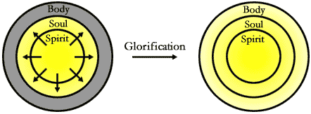 The Process of Regeneration