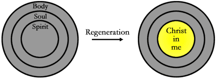 The Process of Regeneration